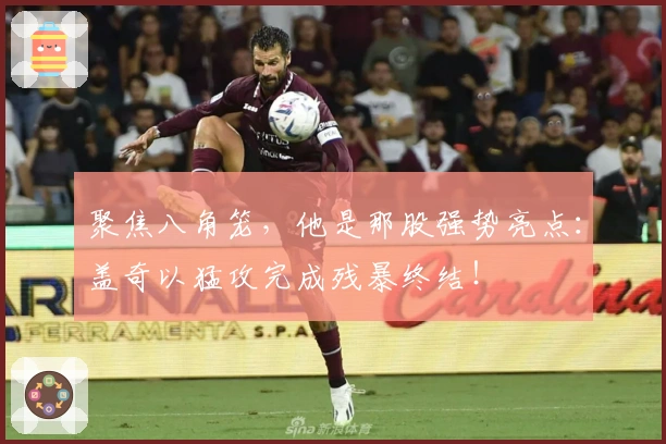 聚焦八角笼，他是那股强势亮点：盖奇以猛攻完成残暴终结！