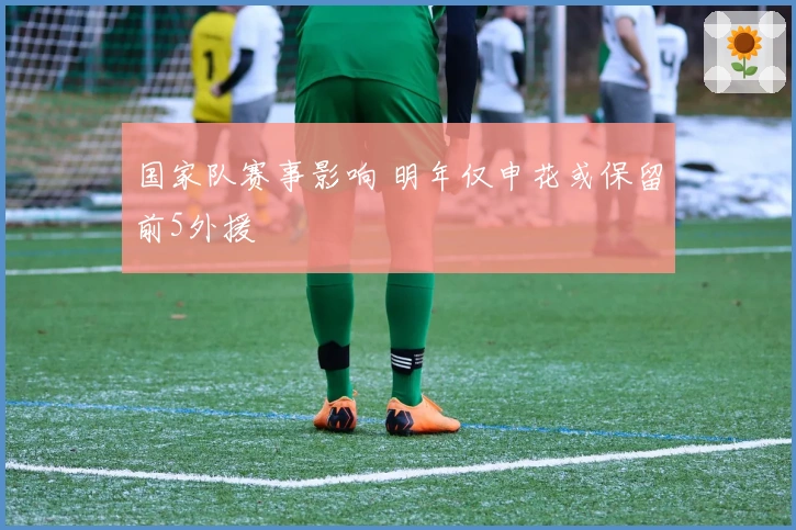 国家队赛事影响 明年仅申花或保留前5外援